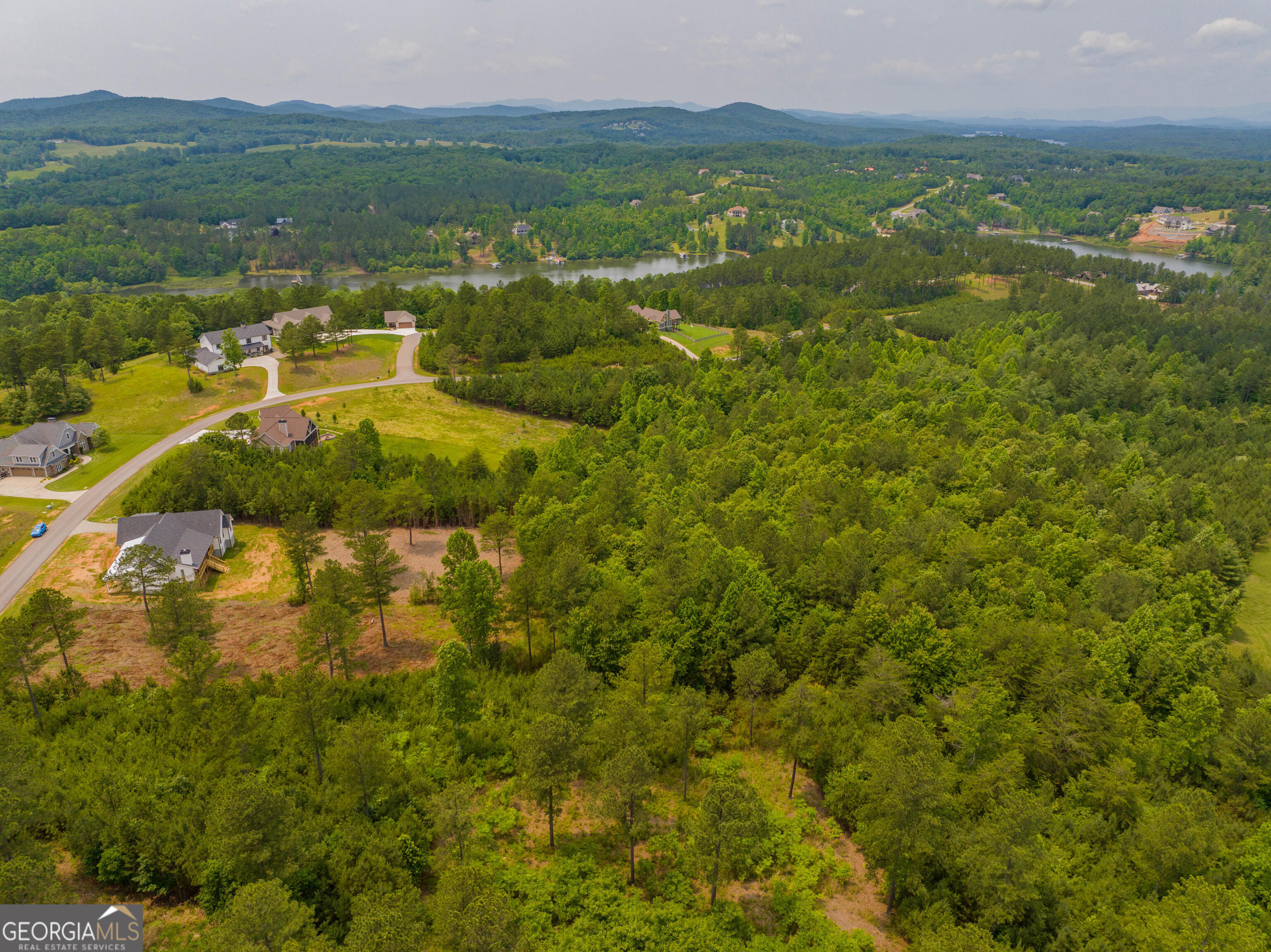 1146 Ridge Pointe Way Blairsville, GA 30512 - Photo 3 of 12 a view of a city with mountains in the background