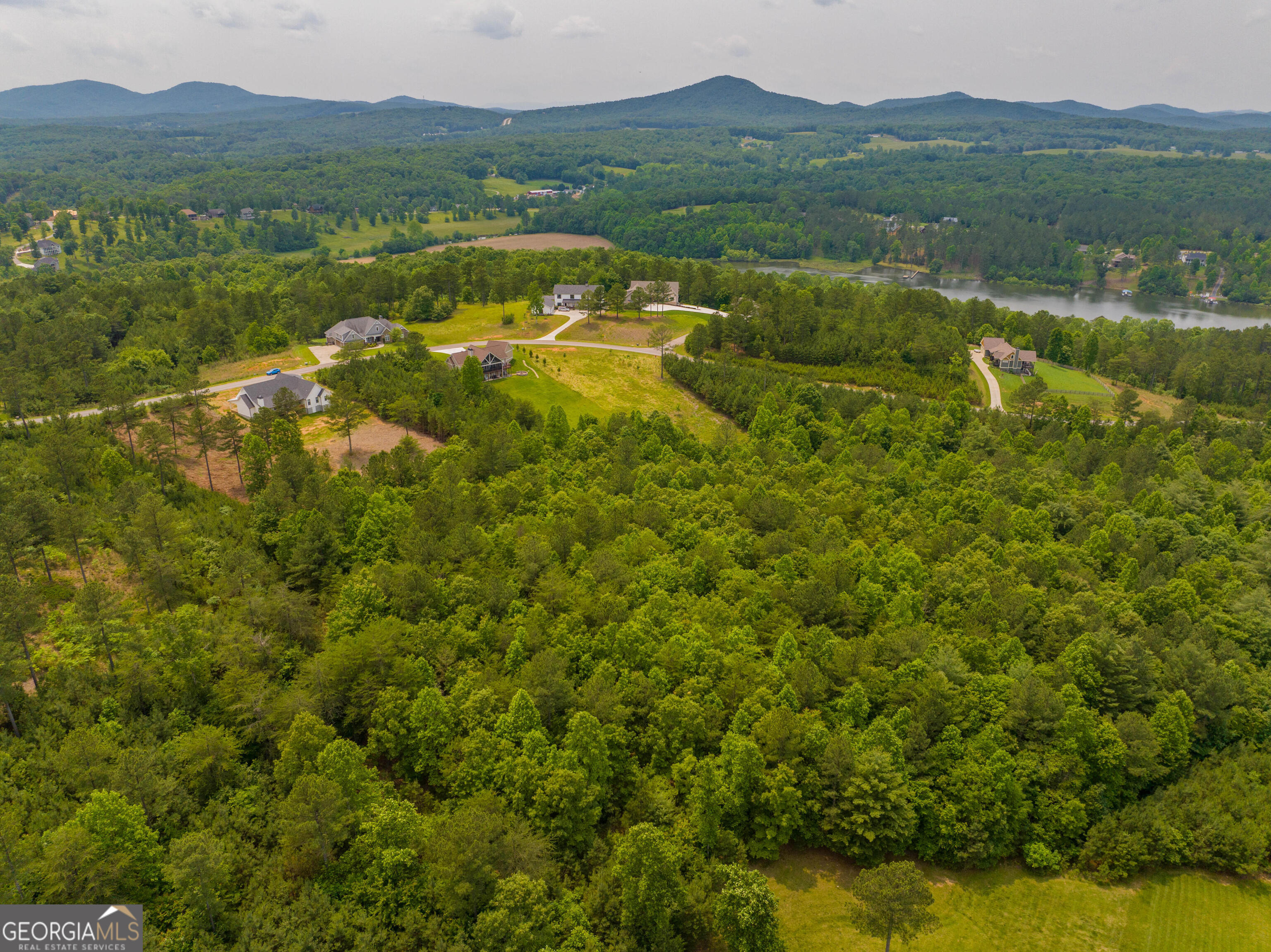 1146 Ridge Pointe Way Blairsville, GA 30512 - Photo 4 of 12 a view of lake with mountain