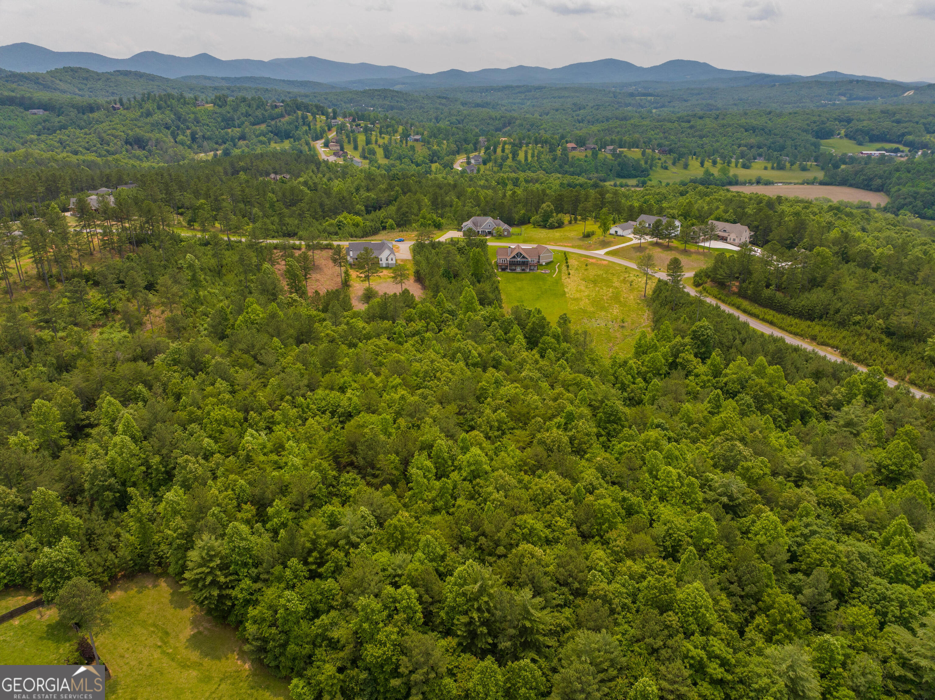 1146 Ridge Pointe Way Blairsville, GA 30512 - Photo 5 of 12 a view of lake with mountain view