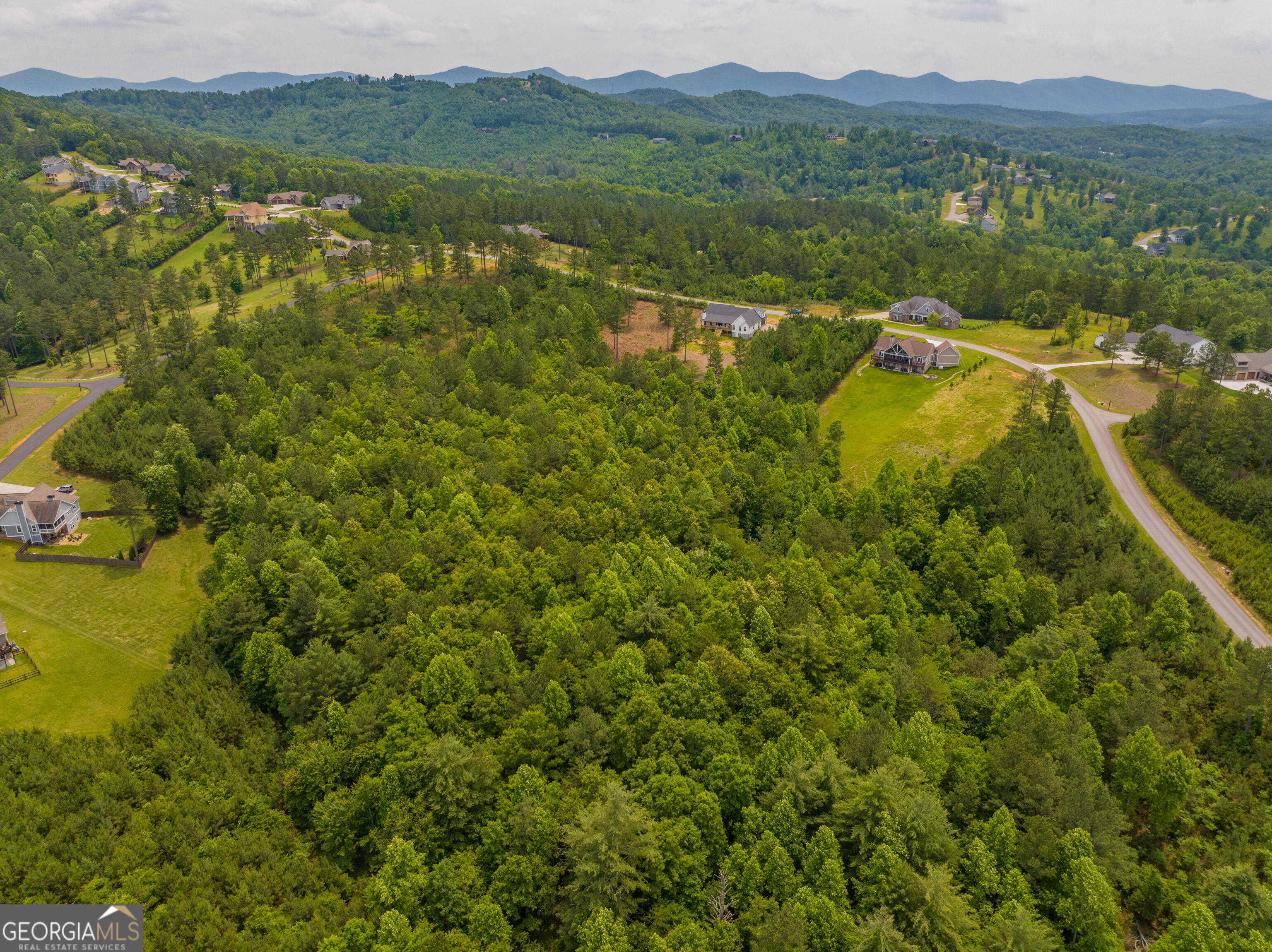 1146 Ridge Pointe Way Blairsville, GA 30512 - Photo 6 of 12 a view of lake with mountain