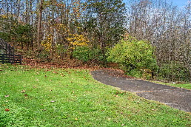 a view of a yard with a tree