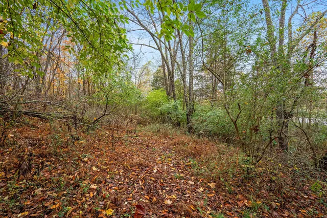 a view of a yard and a house