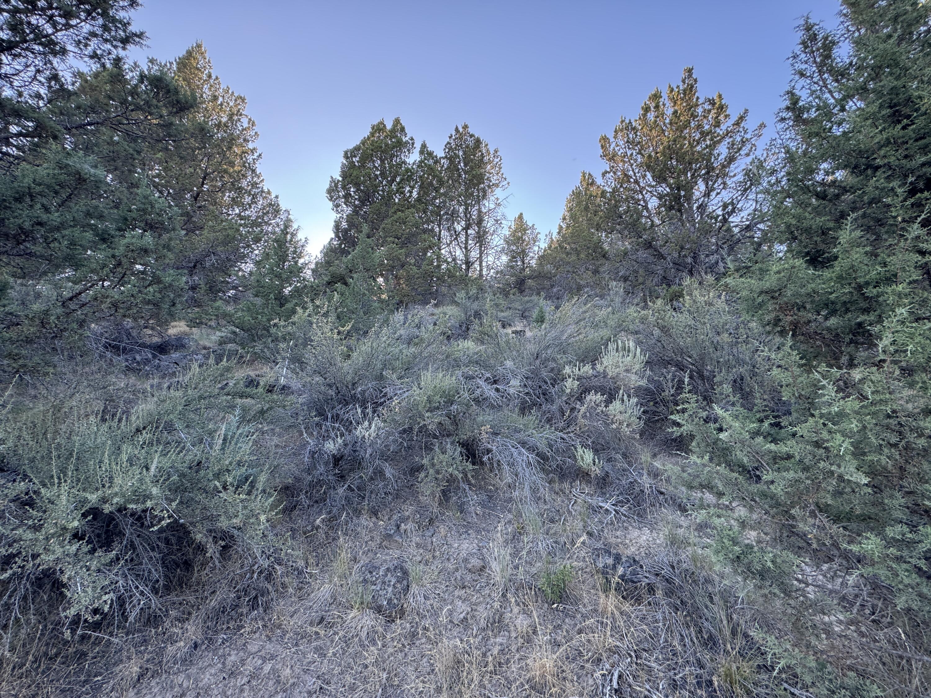 0 Wasco Street, Unit 100 Chiloquin, OR 97624 - Photo 1 of 4 a view of a dry field with trees in the background