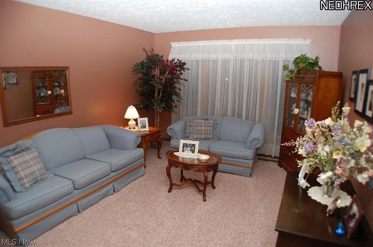10778 Waterfall Road Strongsville, OH 44149 - Photo 4 of 22 Gallery Image 4