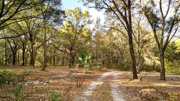 a view of yard with trees