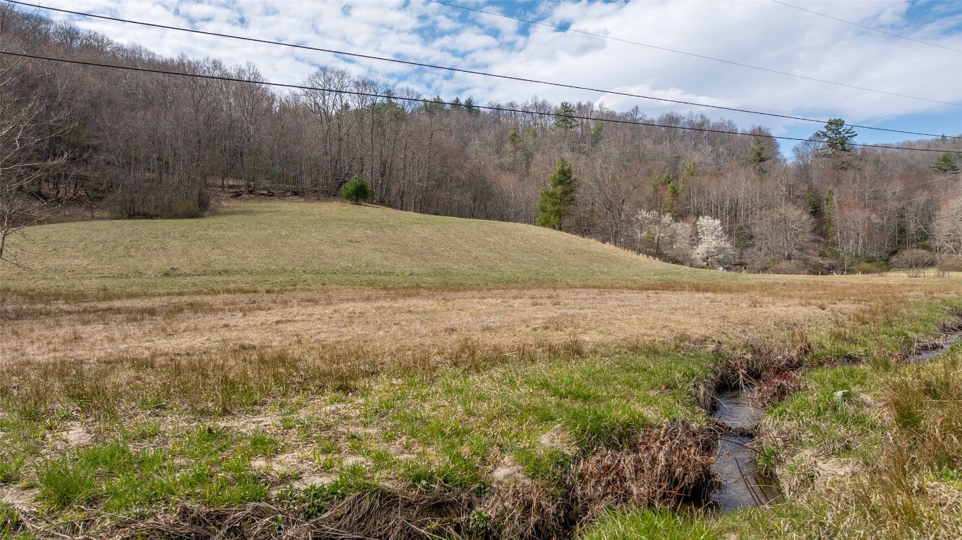 1900 Bee Tree Road Glenville, NC 28736 - Photo 24 of 38 Gallery Image 24