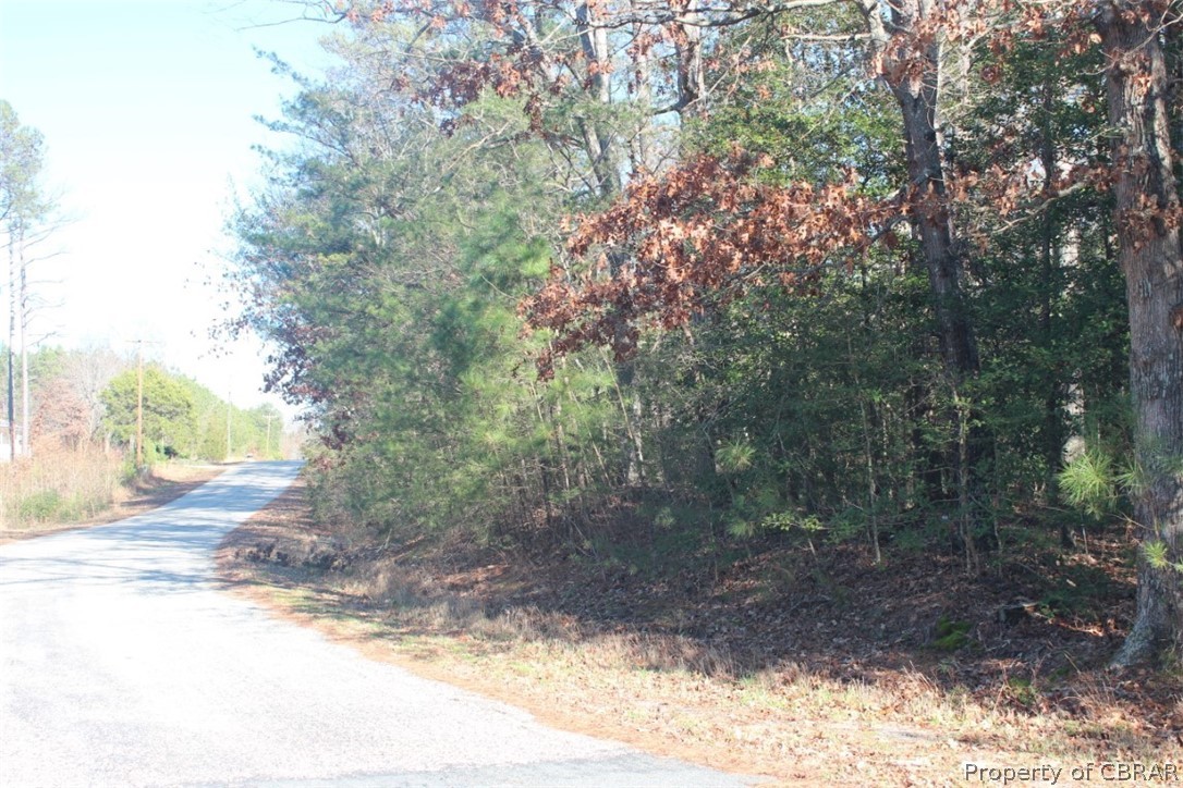 16.3-ac Pierce Road Saluda, VA 23149 - Photo 2 of 18