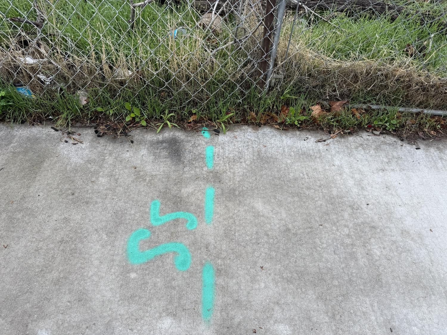 262 Clover Road Tracy, CA 95376 - Photo 14 of 15 a view of a forest with a tree