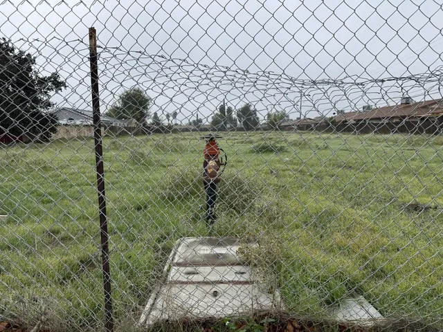 a backyard of a house with large trees