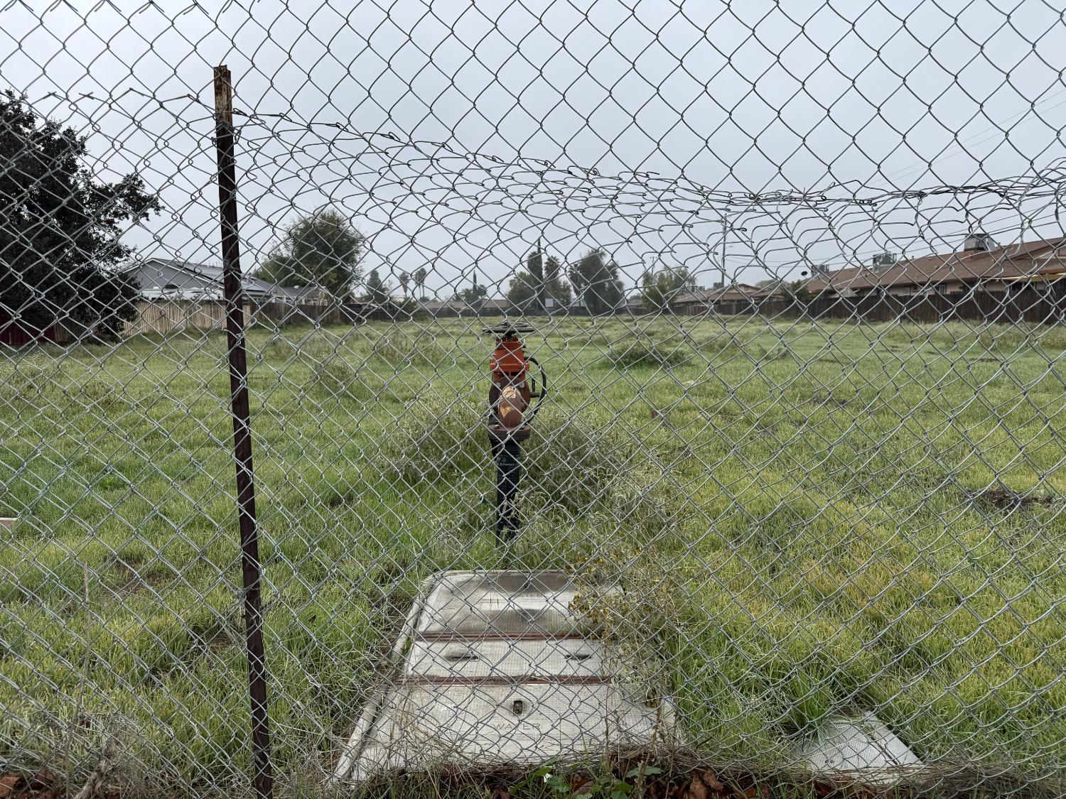 262 Clover Road Tracy, CA 95376 - Photo 6 of 15 a backyard of a house with large trees