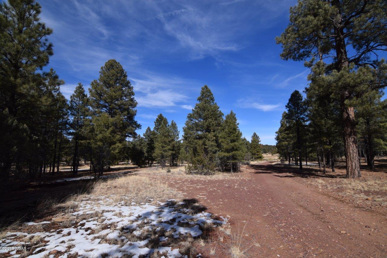 2896 Mud Creek Road Overgaard, AZ 85933 - Photo 1 of 11