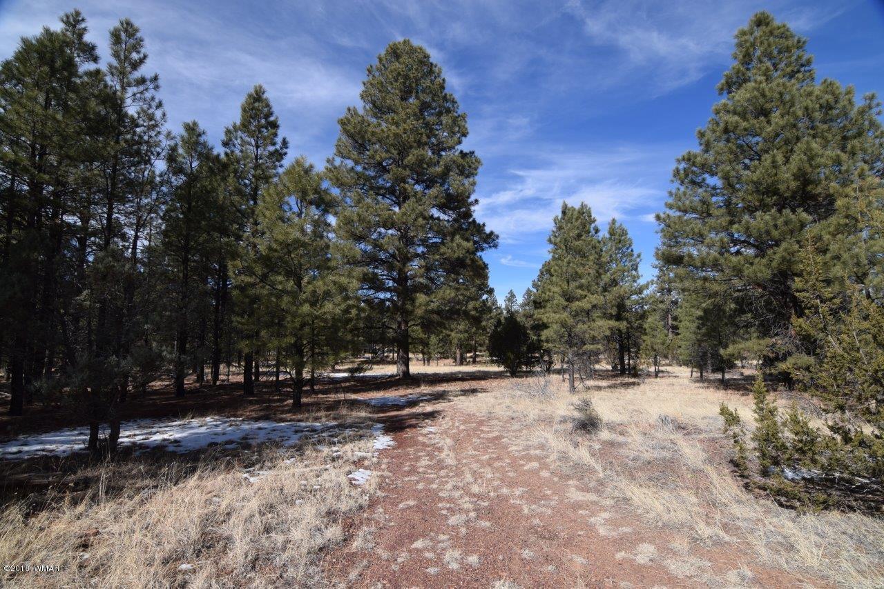 2896 Mud Creek Road Overgaard, AZ 85933 - Photo 2 of 11