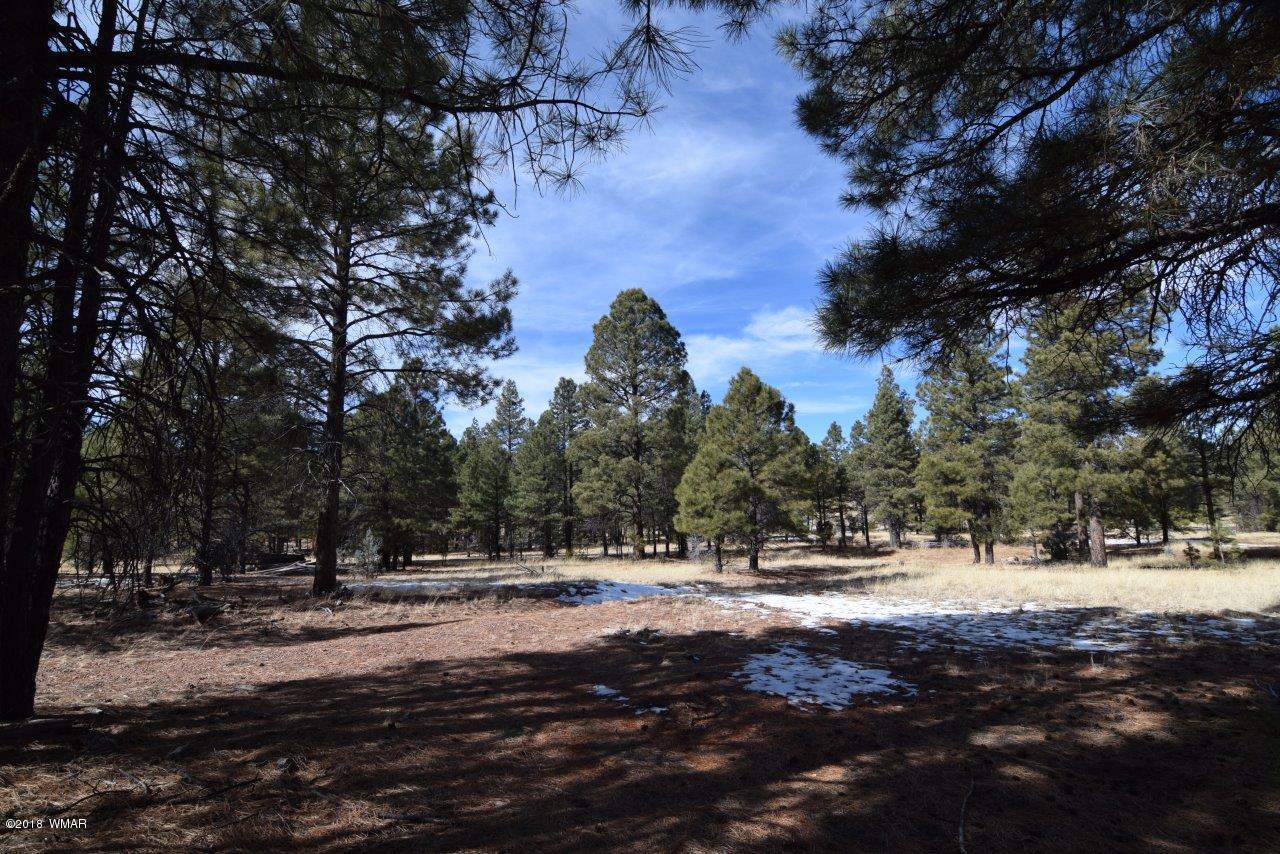 2896 Mud Creek Road Overgaard, AZ 85933 - Photo 3 of 11