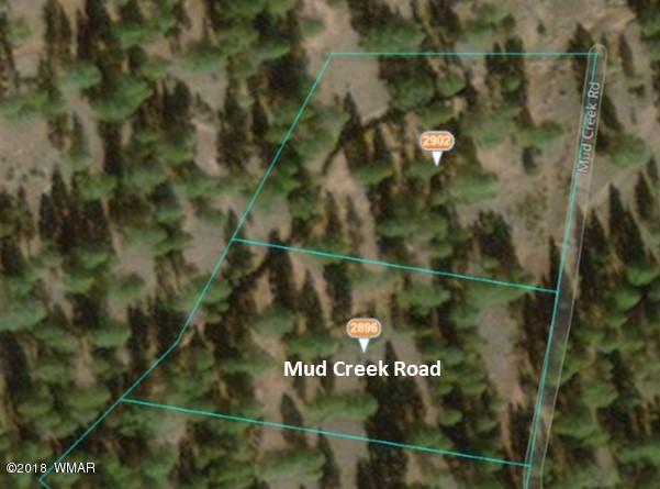 2896 Mud Creek Road Overgaard, AZ 85933 - Photo 5 of 11