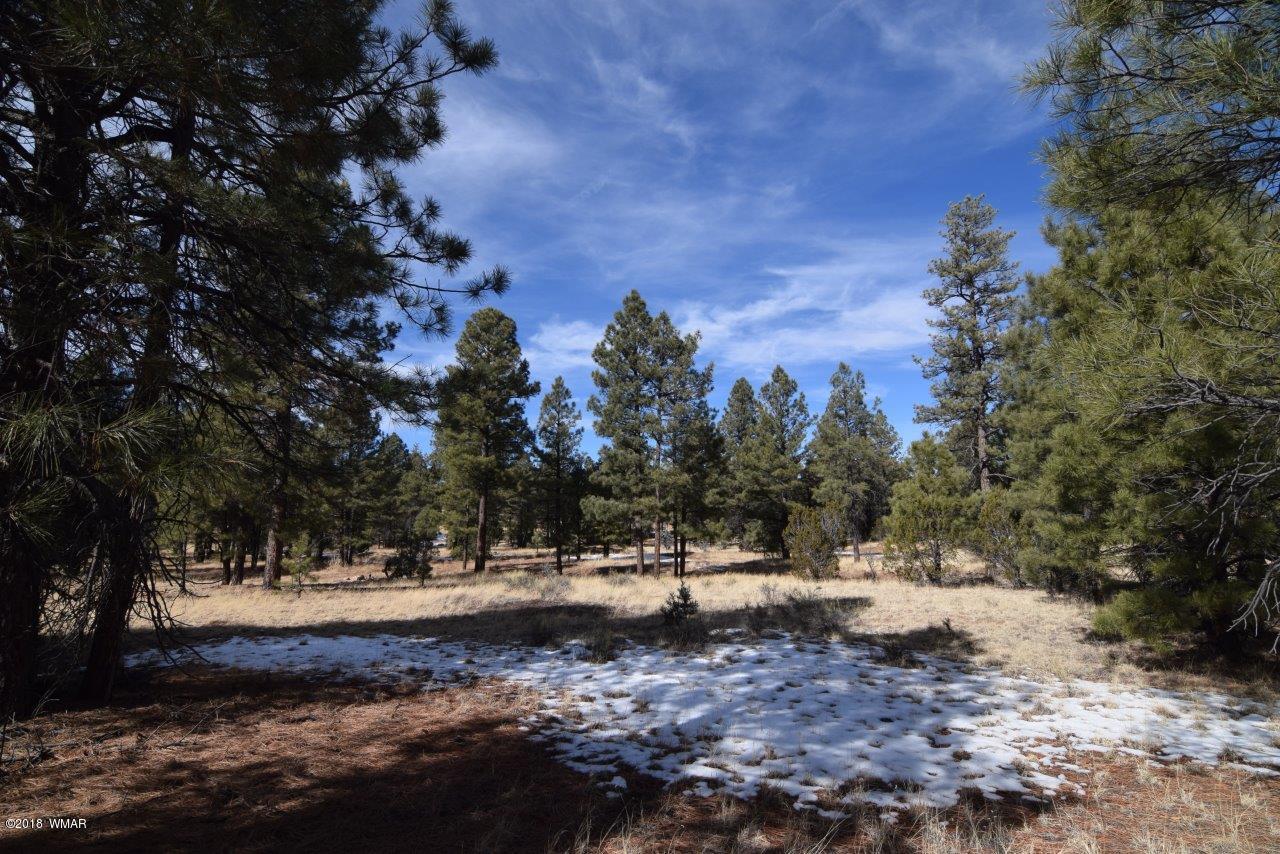 2896 Mud Creek Road Overgaard, AZ 85933 - Photo 8 of 11