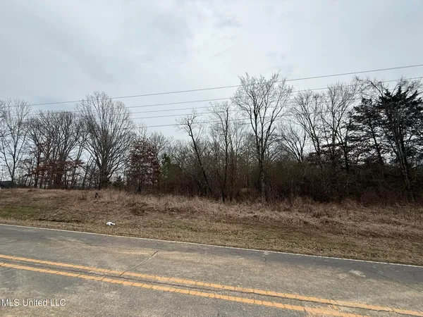 $239,000 | 10862 Nichols Boulevard, Olive Branch, MS 38654