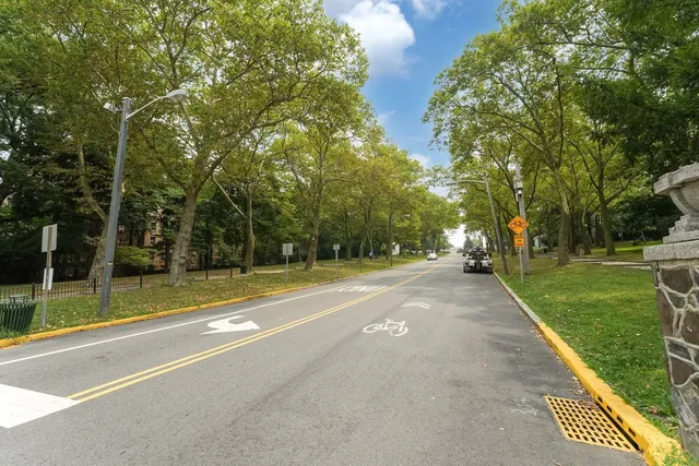 a view of a park with large trees