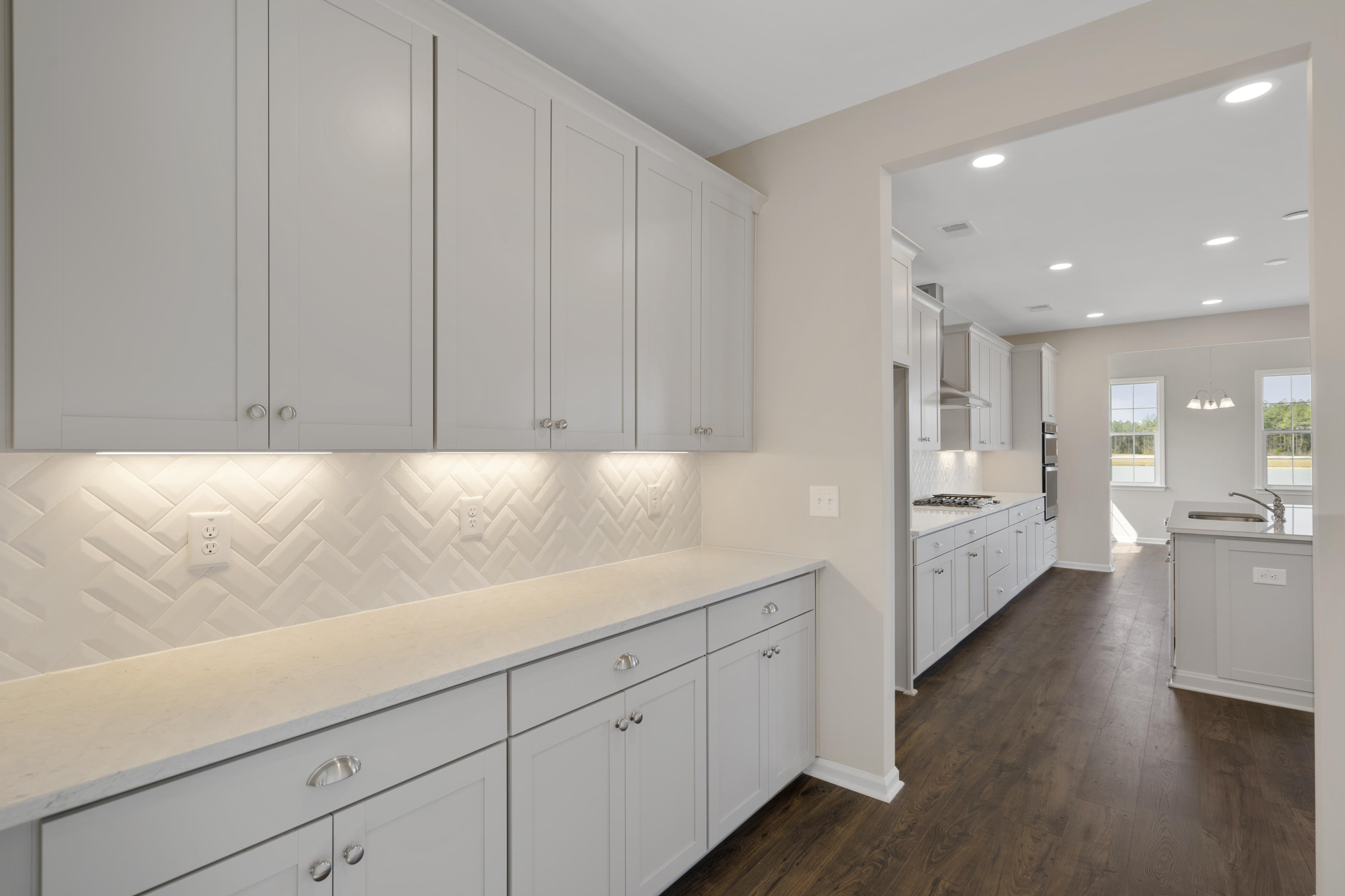 613 Black Pine Road Moncks Corner, SC 29461 - Photo 8 of 47 SDH03884