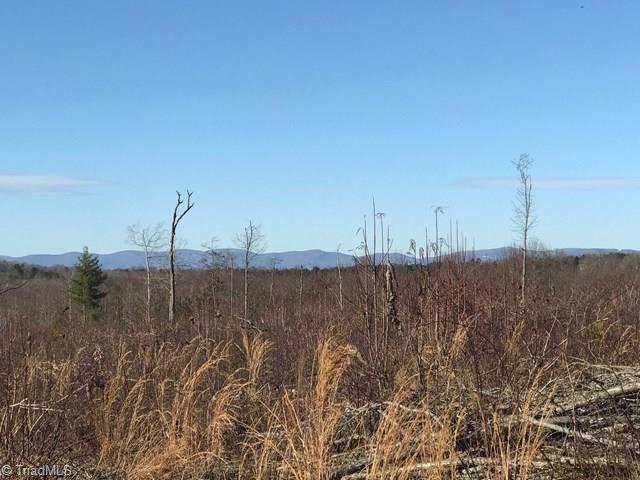 Na Austin Little Mountain Road Ronda, NC 28670 - Photo 1 of 5 Main View