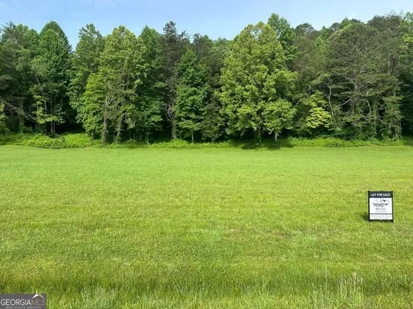 $35,000 | Lot 46 Prosperity Drive, Warne, NC 28909