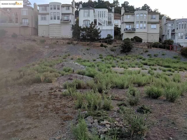 a view of a yard in front of a building