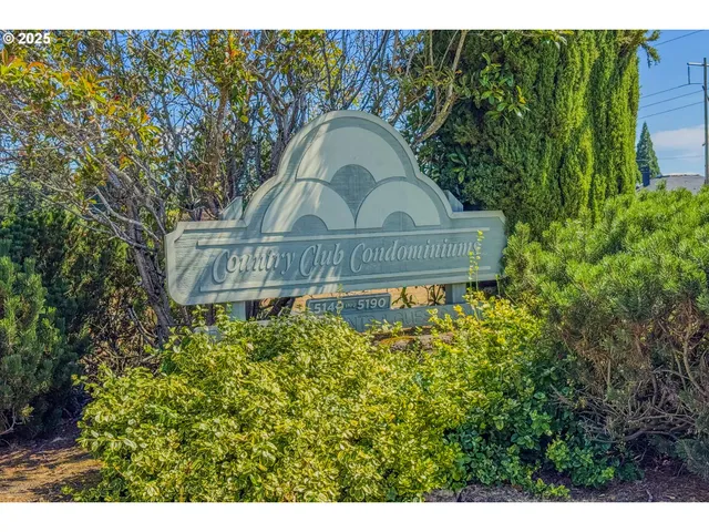 a view of a bird bath