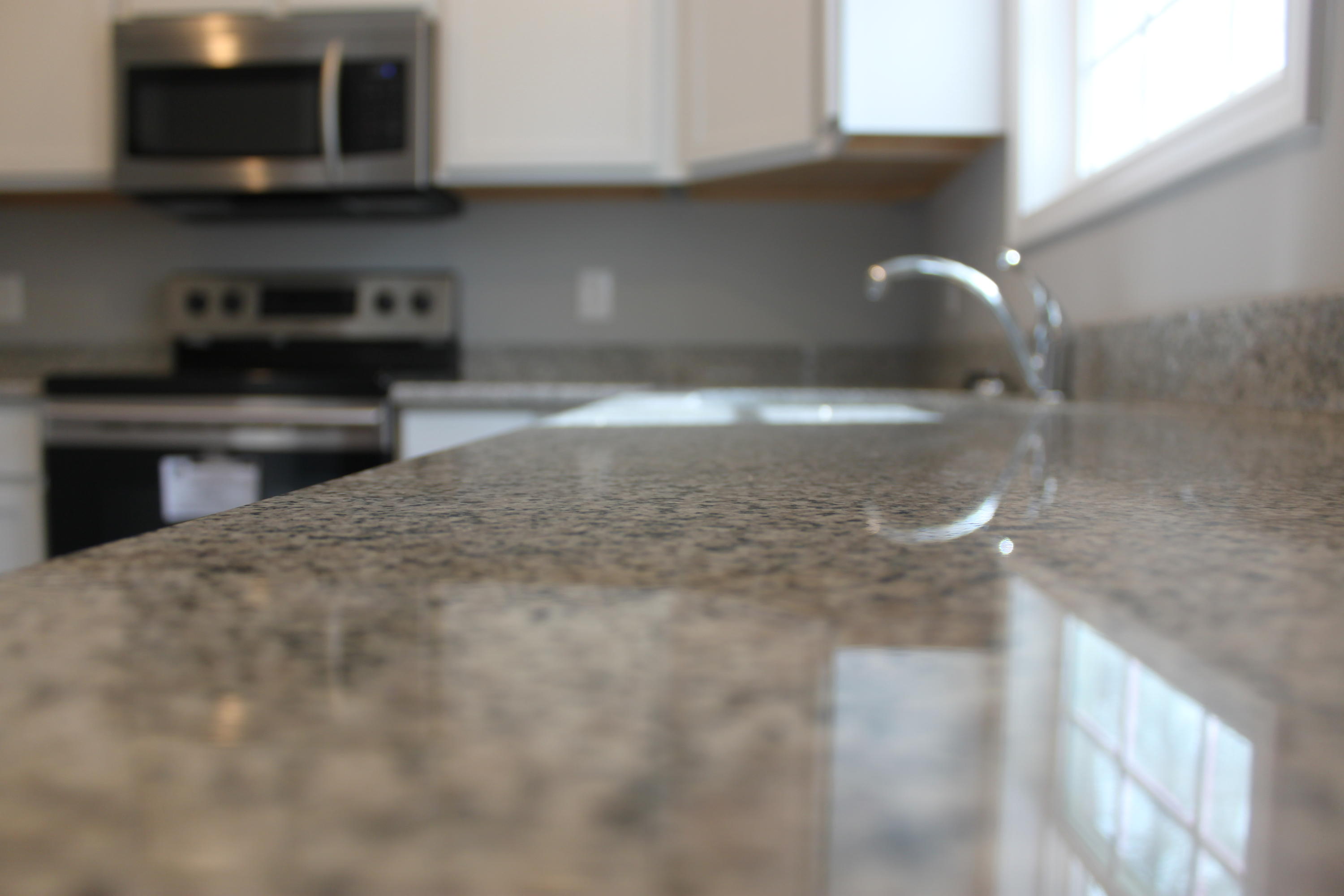 313 West Faunce Road Oak Ridge, TN 37830 - Photo 7 of 19 Granite Counter Tops