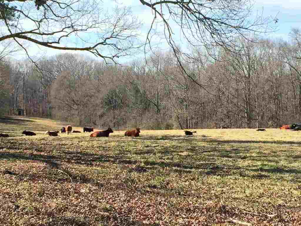 627 Martin Road, Unit 0HARLEY ROAD Starr, SC 29684 - Photo 11 of 25