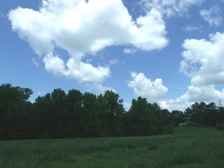 627 Martin Road, Unit 0HARLEY ROAD Starr, SC 29684 - Photo 13 of 25