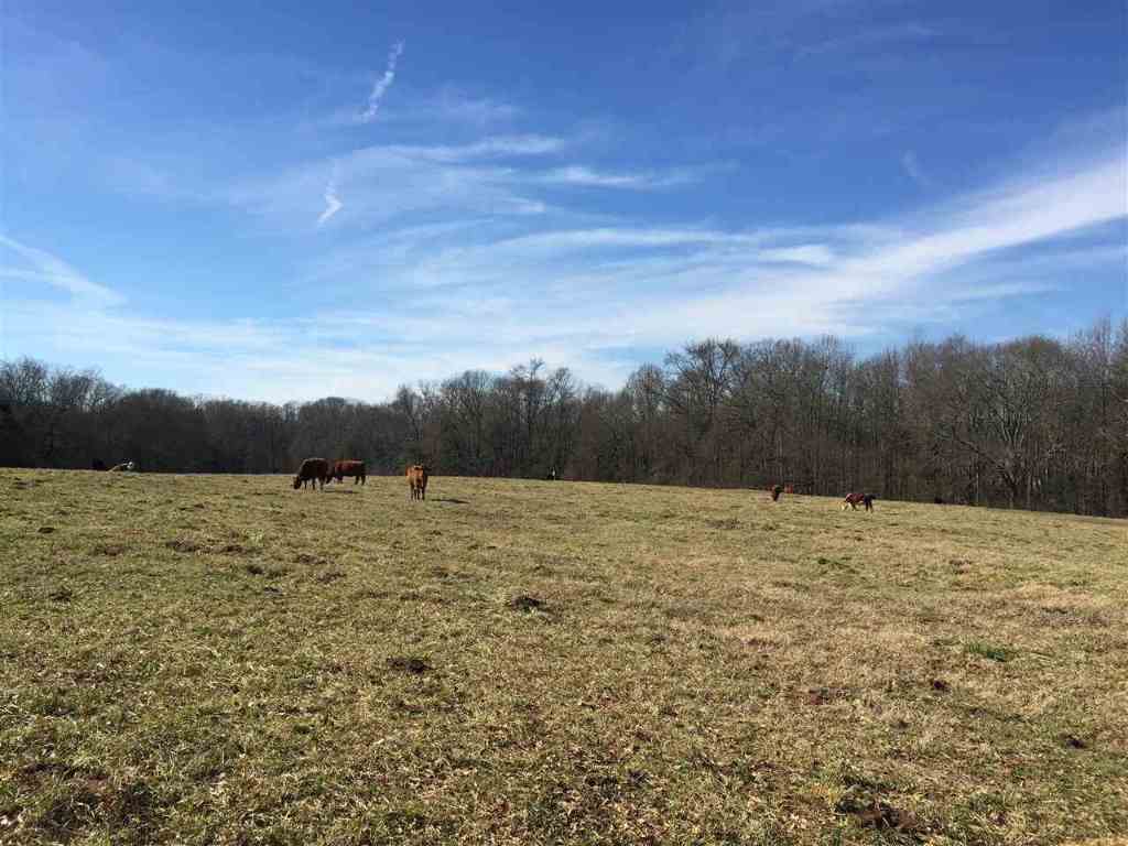 627 Martin Road, Unit 0HARLEY ROAD Starr, SC 29684 - Photo 9 of 25