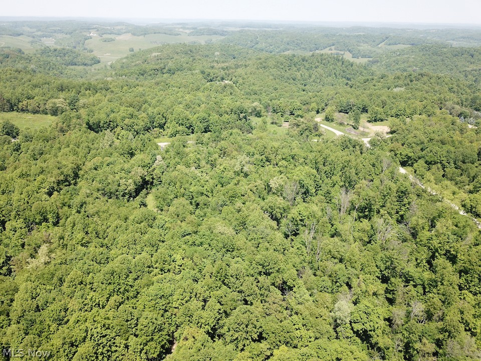 Hines Ridge Rd Port Port Washington, OH 43837 - Photo 10 of 35 Gallery Image 10