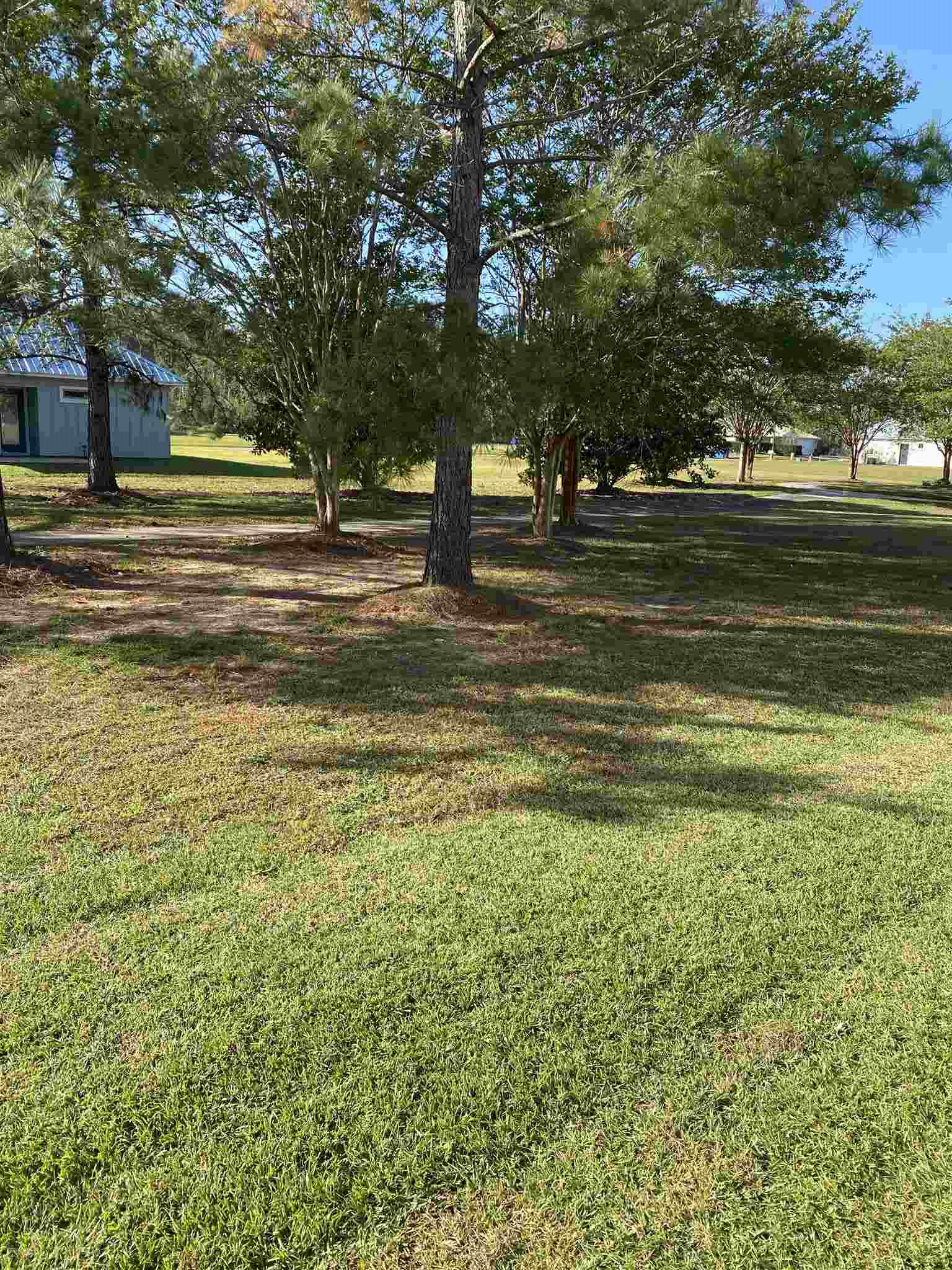 8160 Carmel Circle Foley, AL 36535 - Photo 11 of 11 View from back patio