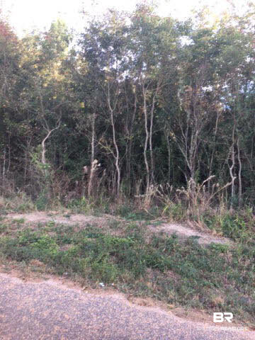 0 Henderson Lane Atmore, AL 36502 - Photo 2 of 5