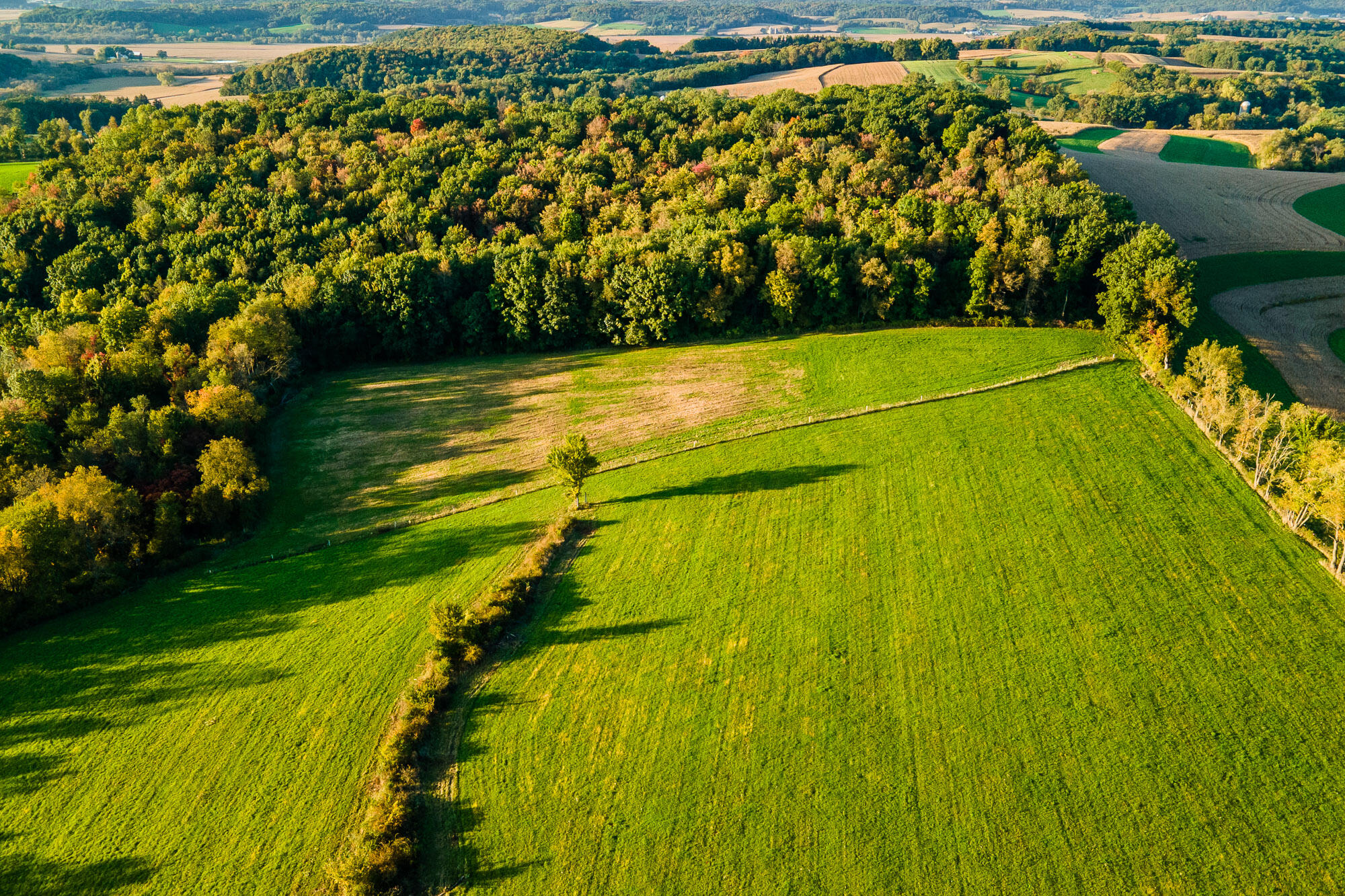 Lt1 Eli Valley Road Loganville, WI 53943 - Photo 36 of 49 Sauk-County-WI-68-Acres-Land-For-Sale-Fa