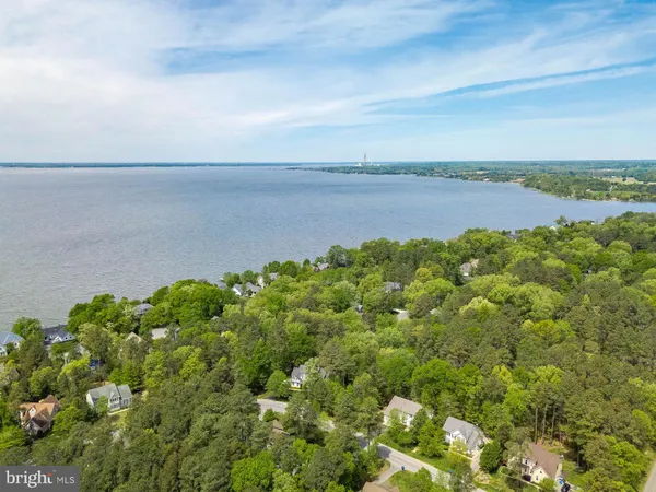 a view of a park with large trees