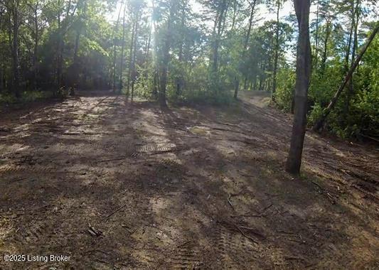 933 Dug Hill Road Clarkson, KY 42726 - Photo 13 of 14 1286714-f88c4a82-78b0-4706-a948-32ead785