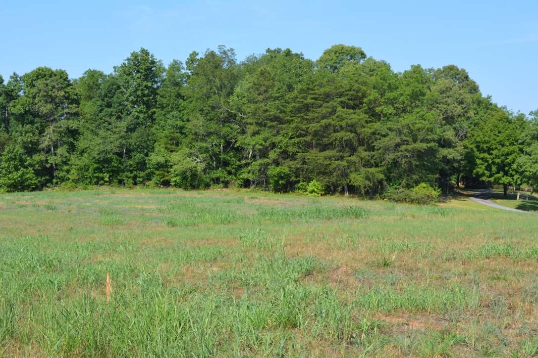Lot 3 Gramling School Road Inman, SC 29349 - Photo 8 of 24