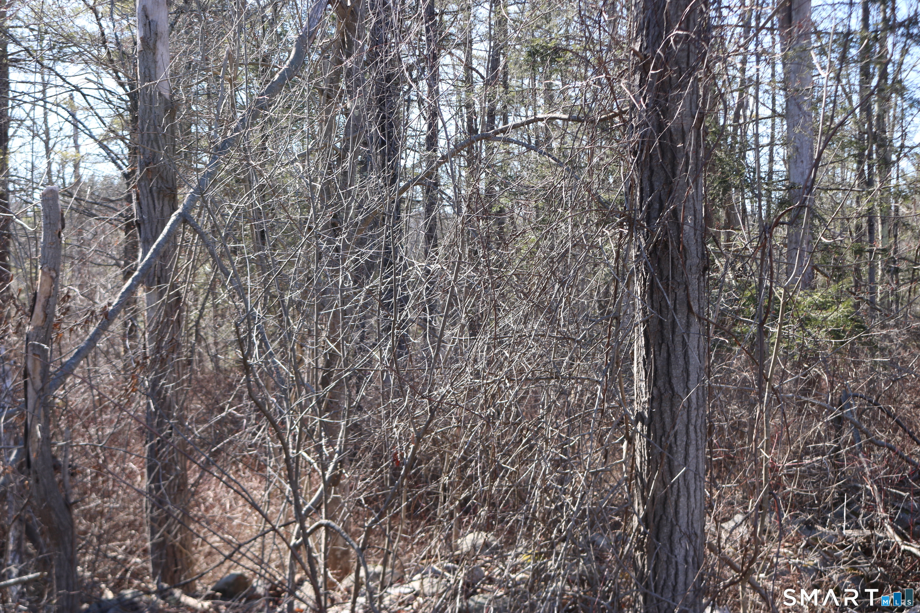 Ashley Drive Goshen, CT 06756 - Photo 2 of 22