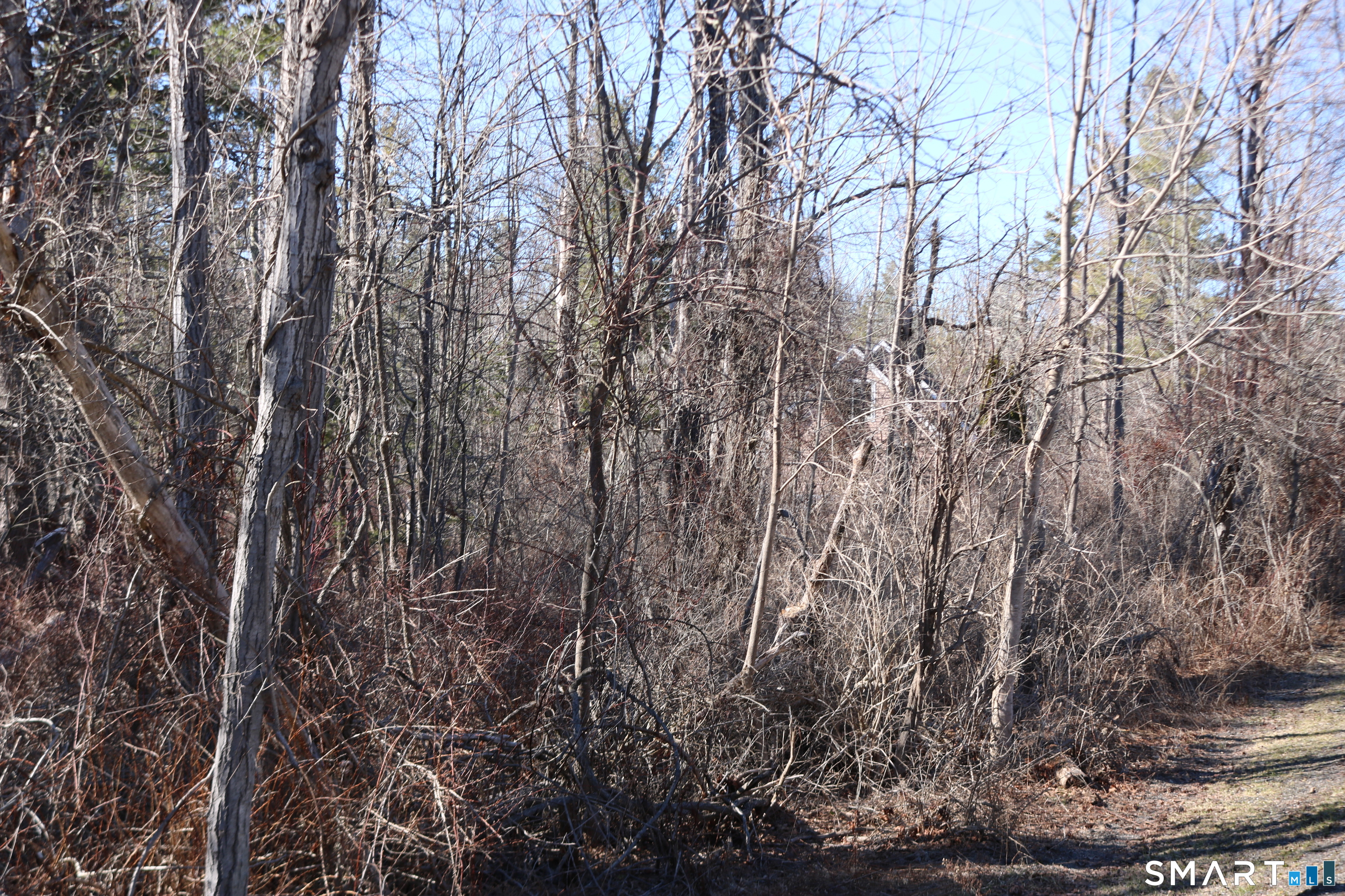 Ashley Drive Goshen, CT 06756 - Photo 3 of 22 a view of a yard