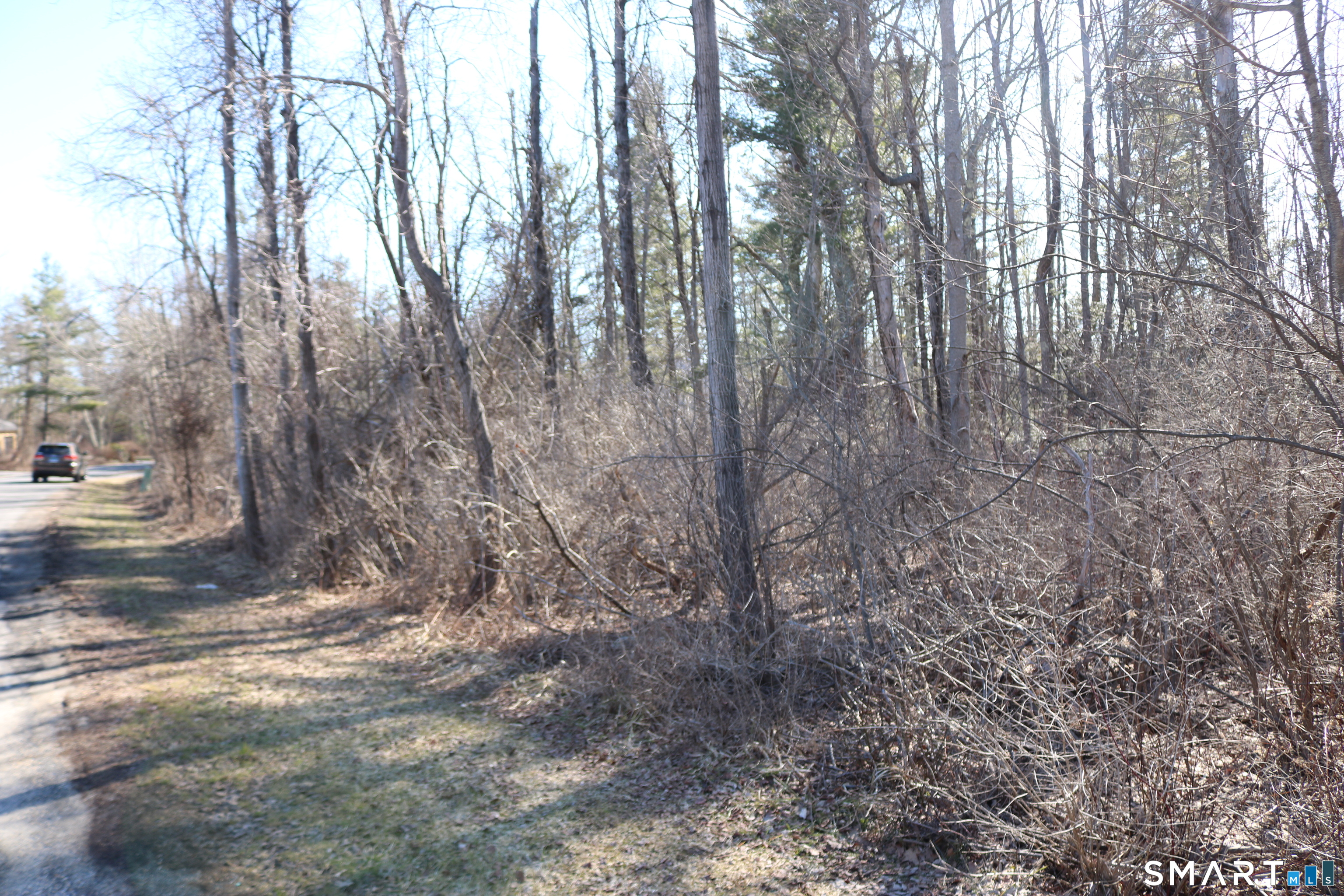 Ashley Drive Goshen, CT 06756 - Photo 8 of 22 a view of forest