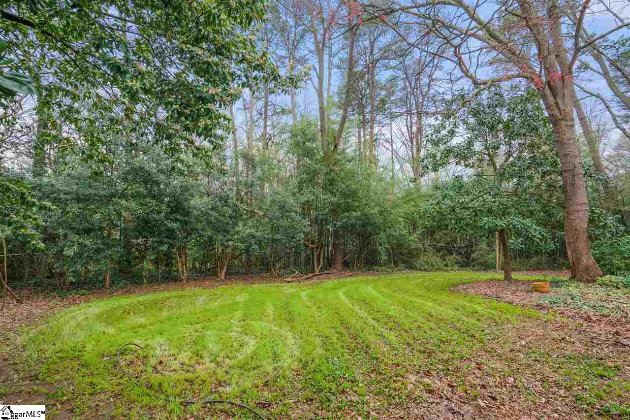 360 Pimlico Road Greenville, SC 29607 - Photo 24 of 30