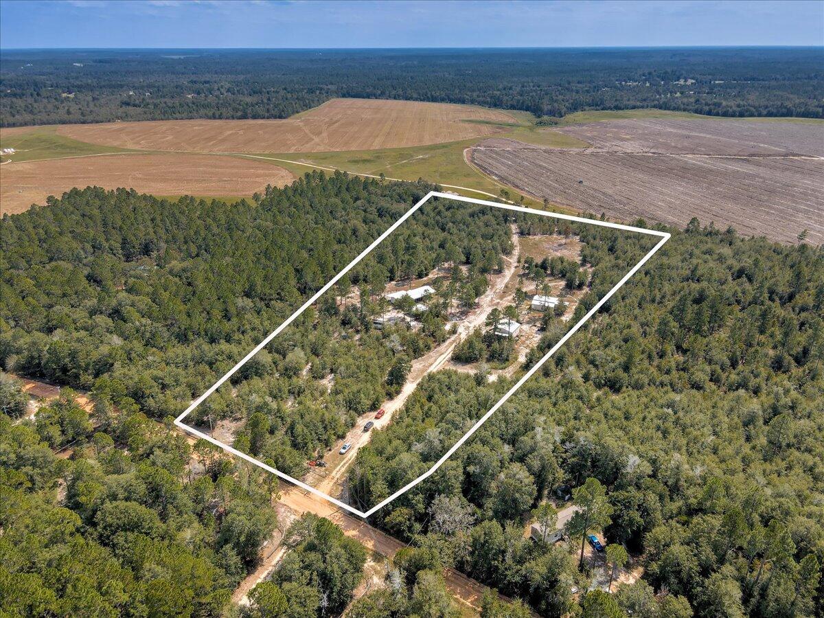 310 Pearl Bonnett Road Windsor, SC 29856 - Photo 4 of 58