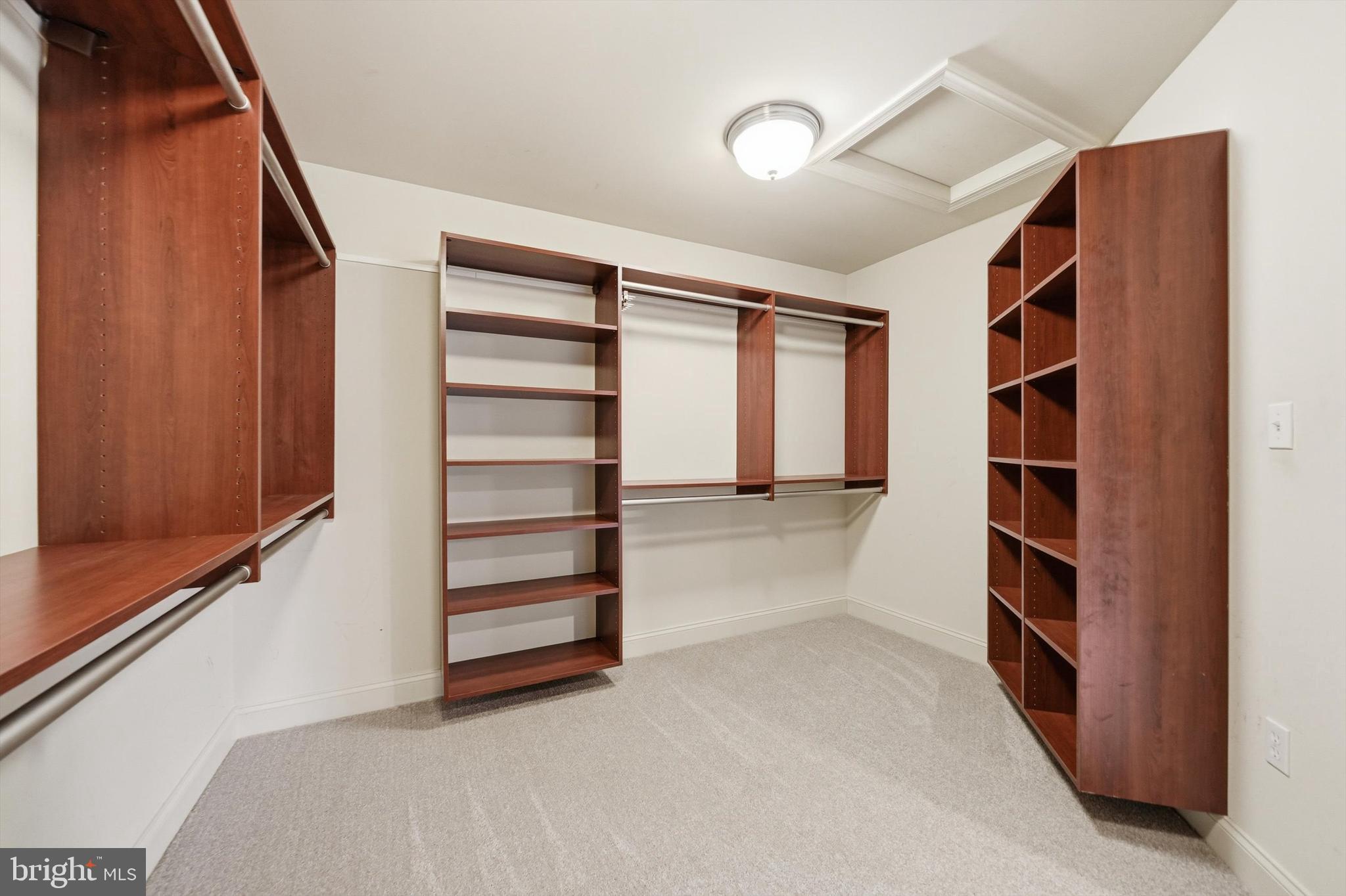 5716 Mt Briar Road Keedysville, MD 21756 - Photo 46 of 81 Primary Walk-In Closet