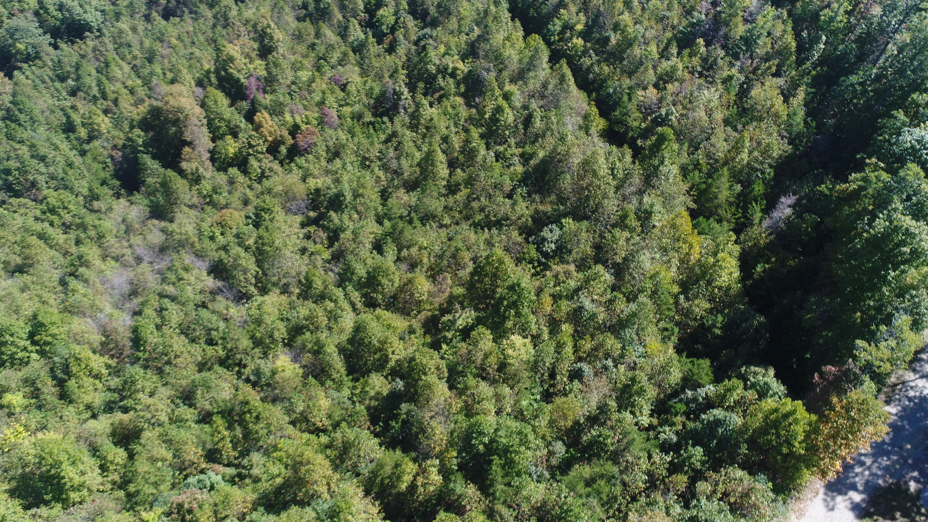 200 Wesley Chapel Road Somerset, KY 42501 - Photo 4 of 19 DJI_0557