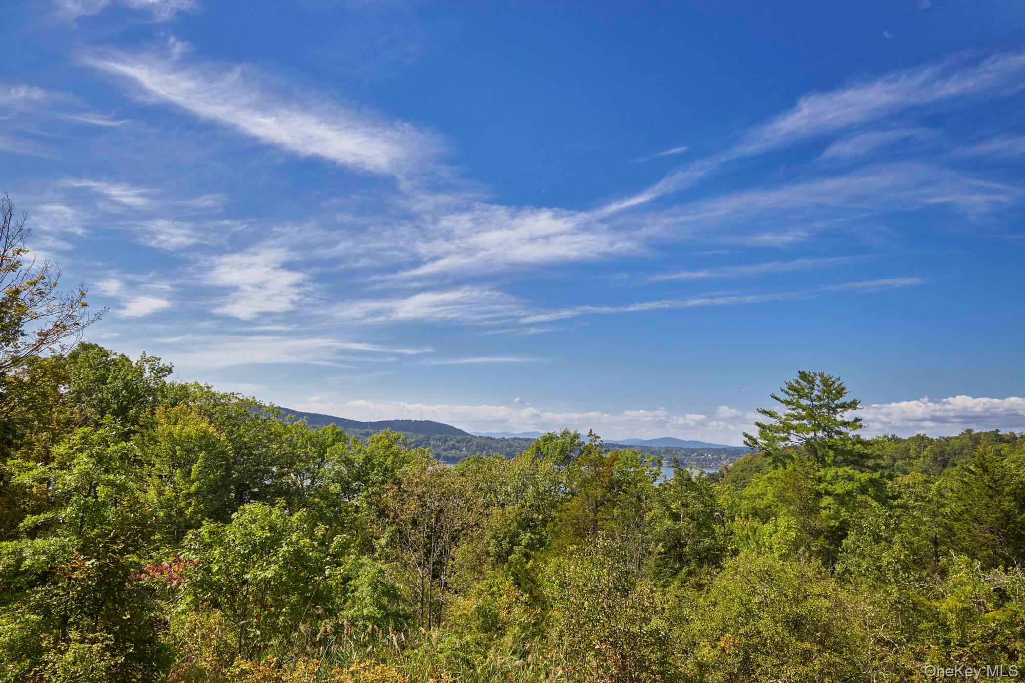Mill Road Rhinebeck, NY 12572 - Photo 11 of 15 View of mountain backdrop featuring a heavily wooded area