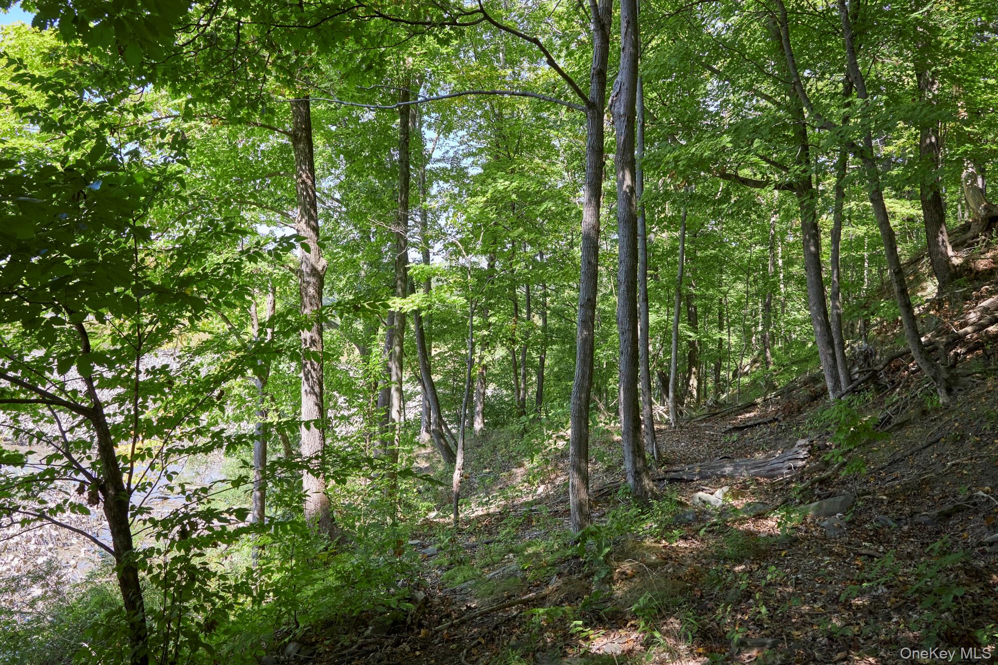 Mill Road Rhinebeck, NY 12572 - Photo 12 of 15 View of wooded area