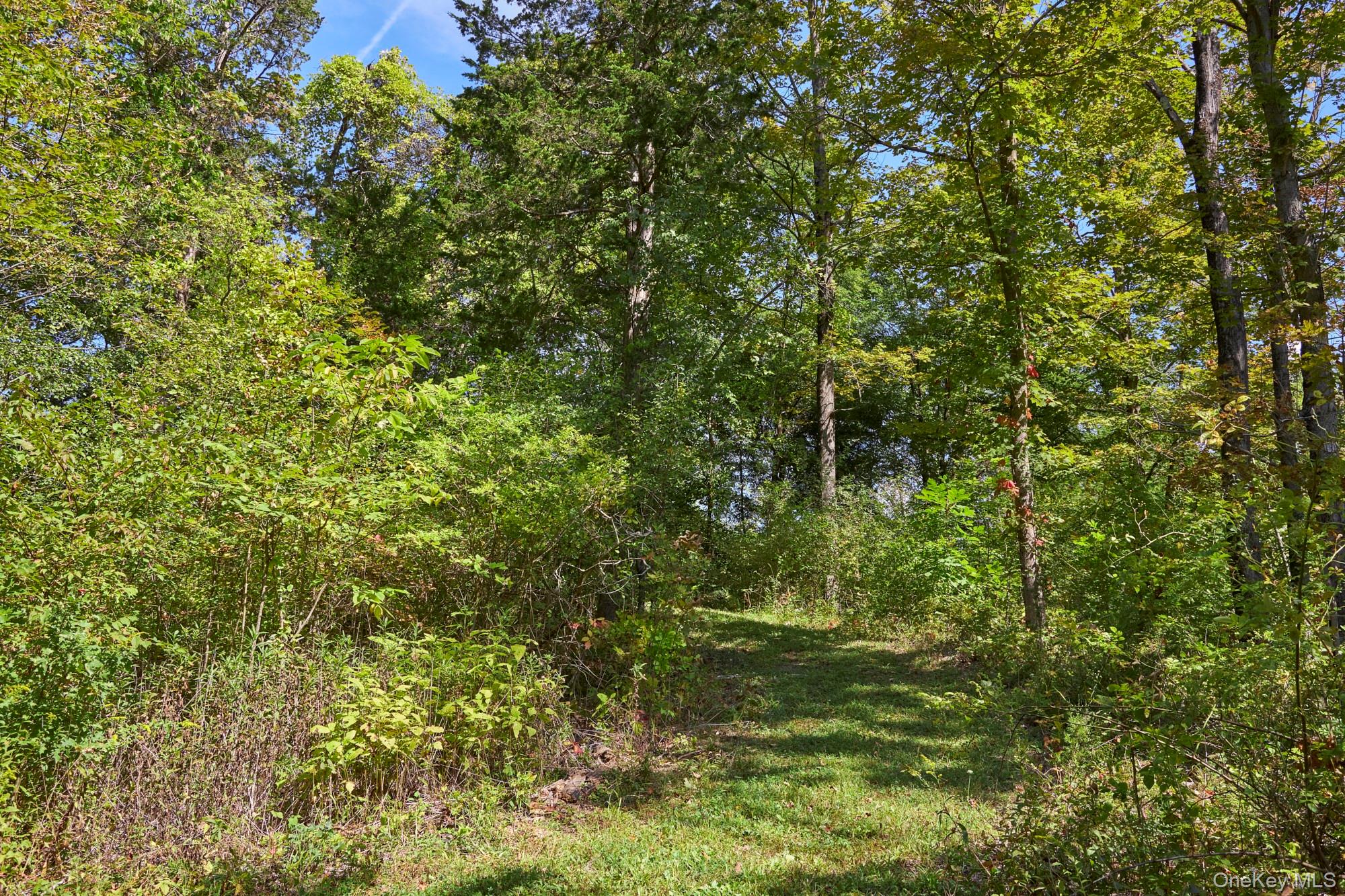 Mill Road Rhinebeck, NY 12572 - Photo 13 of 15 View of wooded area