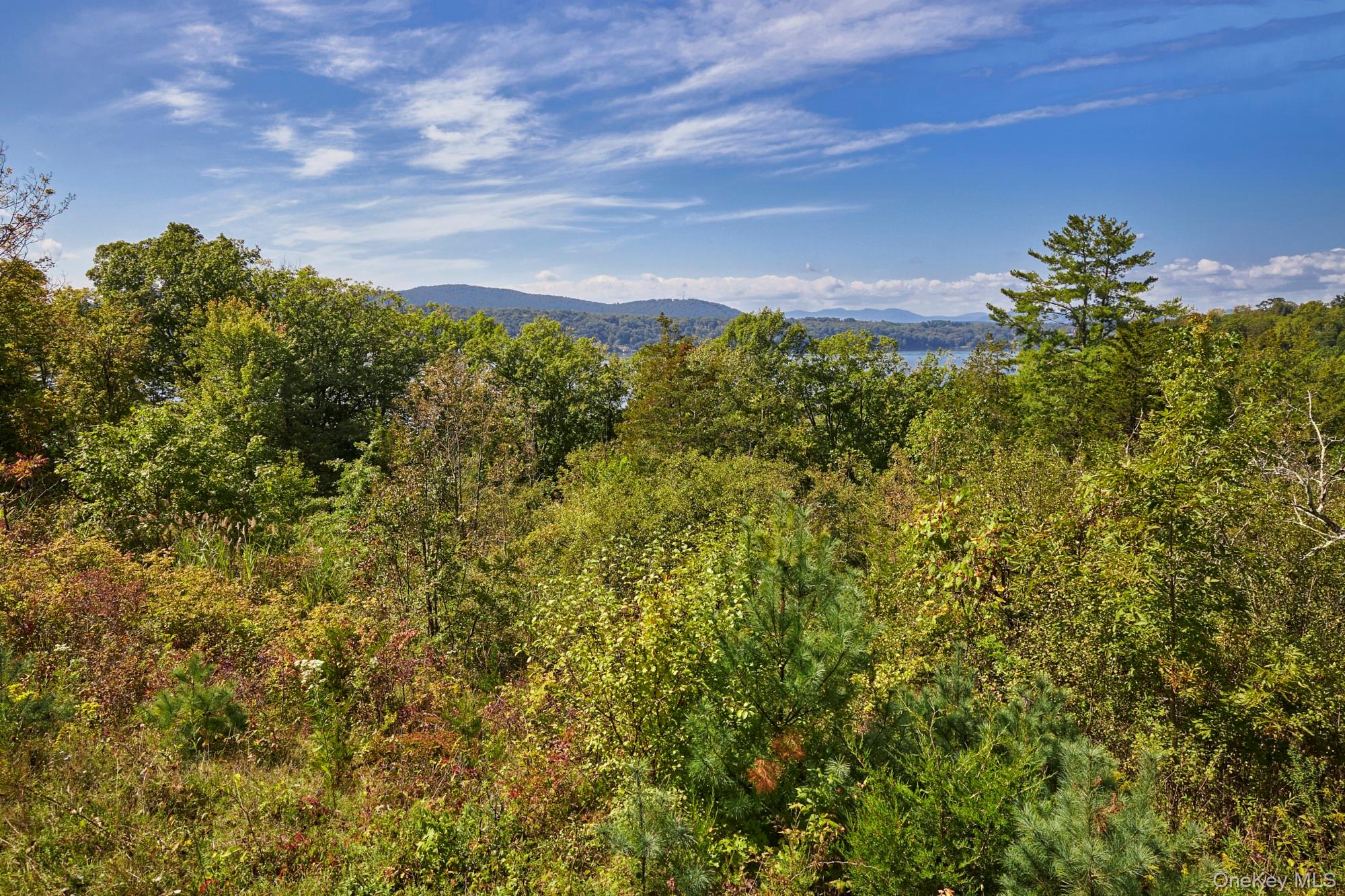 Mill Road Rhinebeck, NY 12572 - Photo 15 of 15 View of mountain background featuring a forest