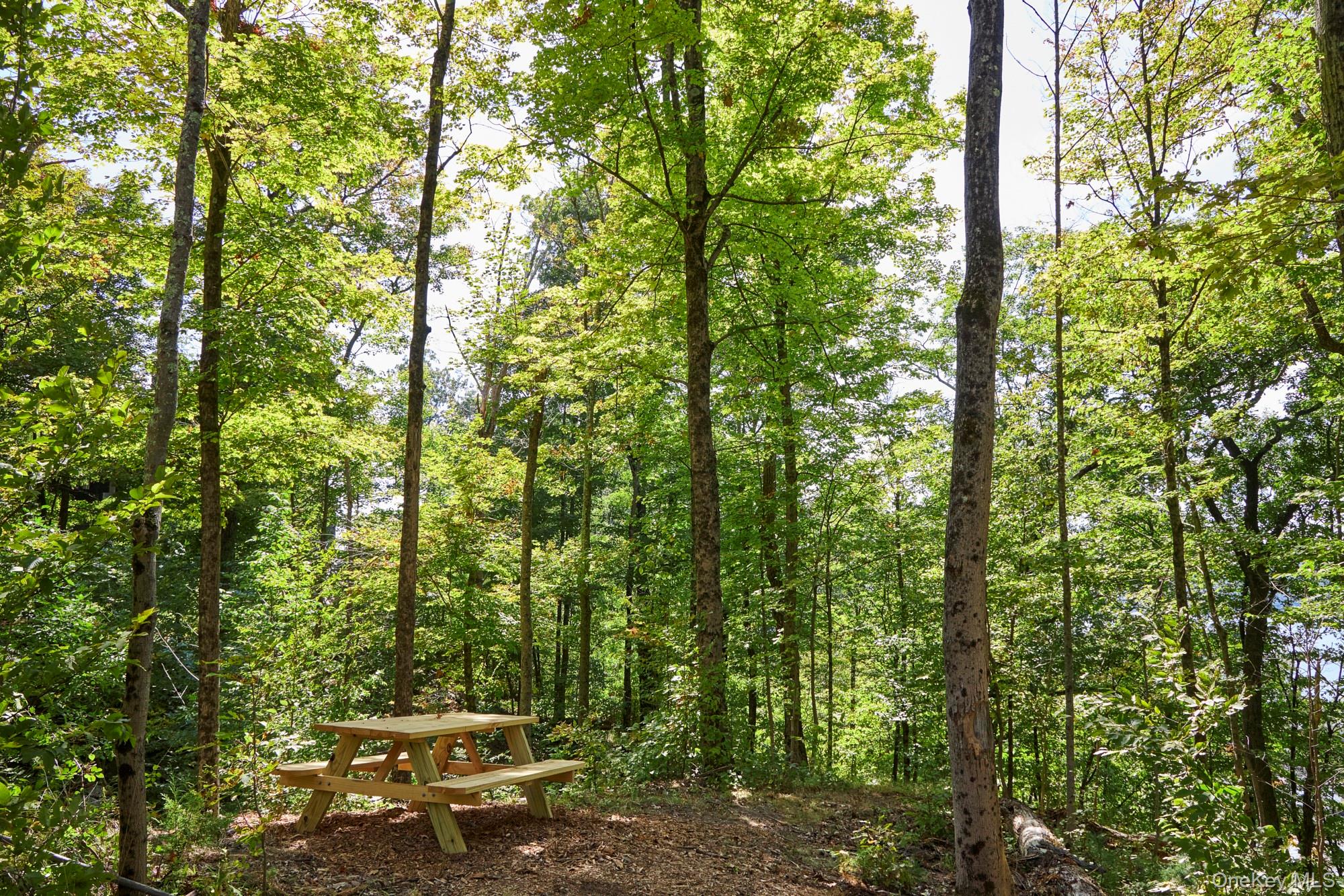 Mill Road Rhinebeck, NY 12572 - Photo 2 of 15 View of home's community featuring a wooded view