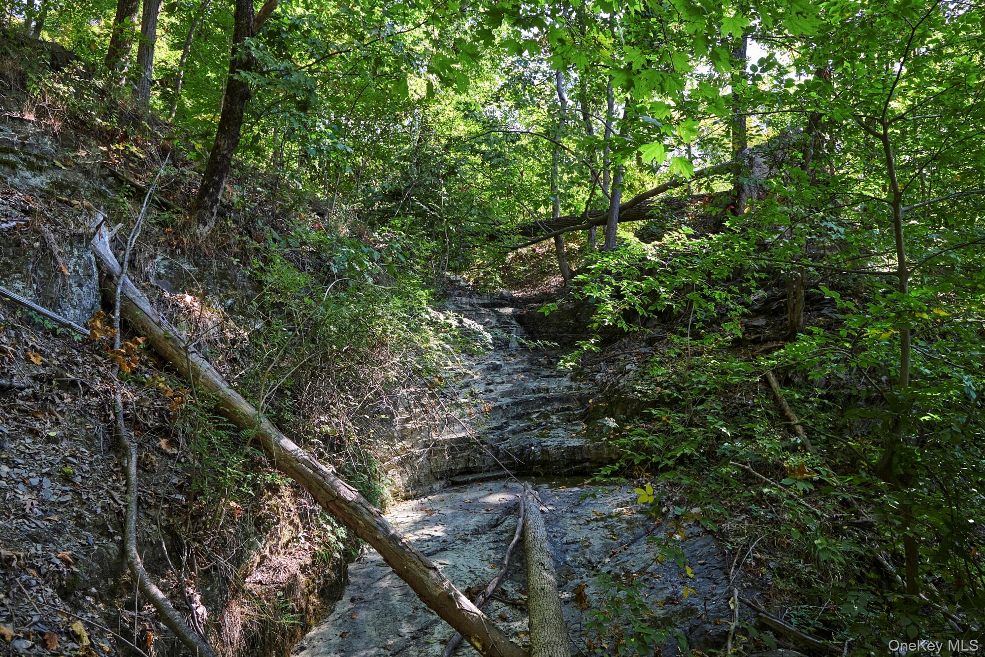 Mill Road Rhinebeck, NY 12572 - Photo 6 of 15 View of wooded area